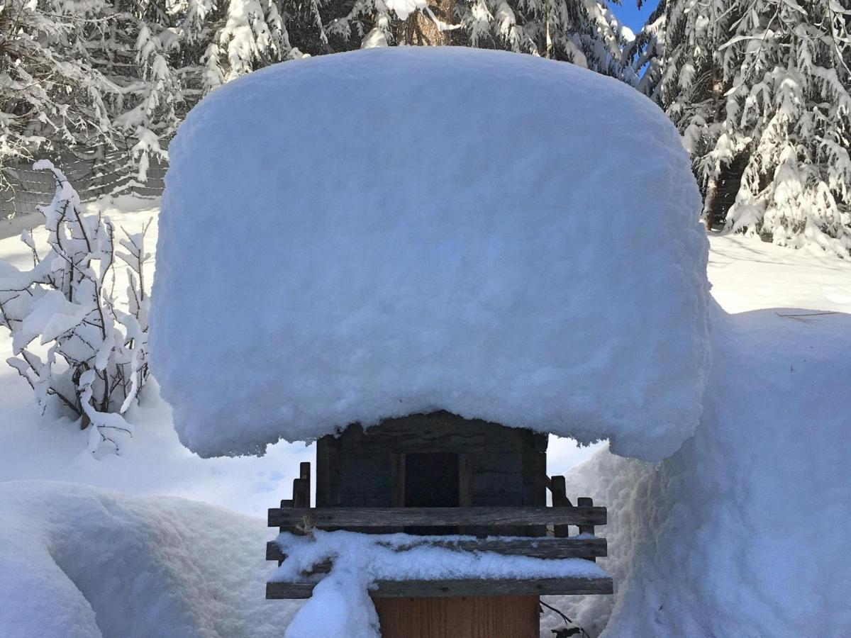 Guffertblick Villa Achenkirch Kültér fotó